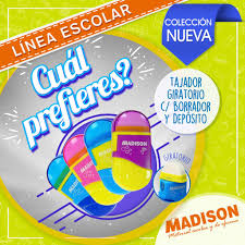 Tajador giratorio con borrador y deposito Madison 12pcs