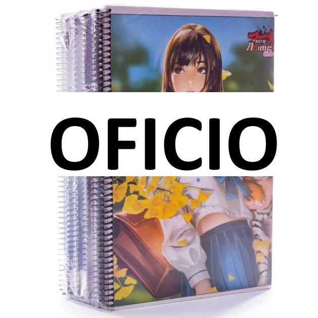 Cuaderno Anillado Artesanal  OFICIO 100h