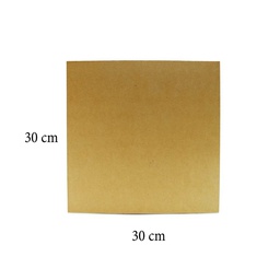 [TR9-3030] Trupan 30x30cm expesor 6mm